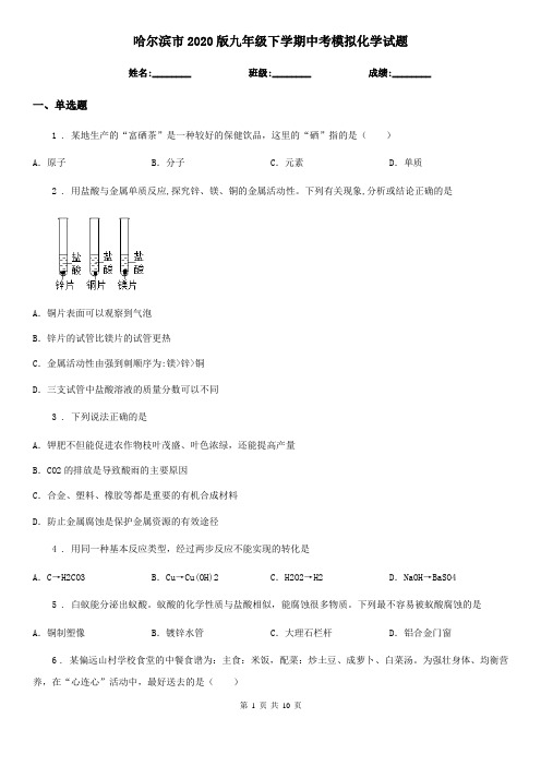 哈尔滨市2020版九年级下学期中考模拟化学试题