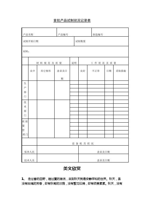 首批产品试制状况记录表 (2)