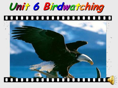 8AUnit6 Birdwatching Welcome to the unit