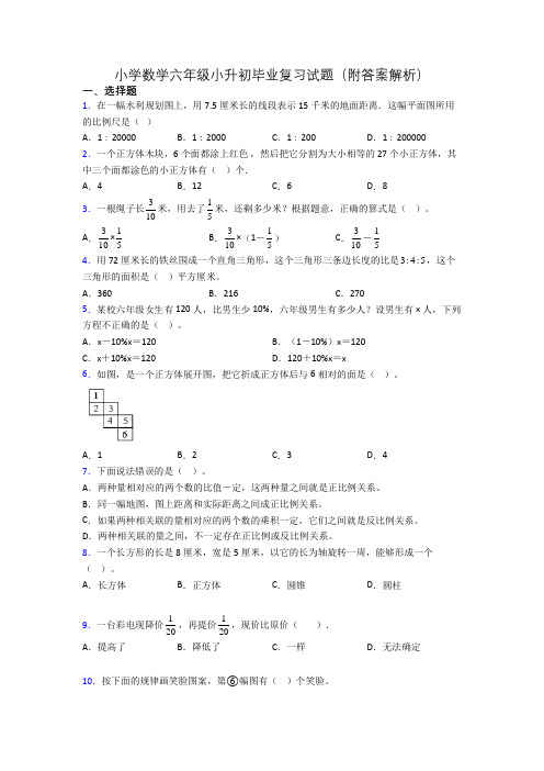 小学数学六年级小升初毕业复习试题(附答案解析)