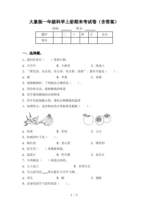 大象版一年级科学上册期末考试卷(含答案)