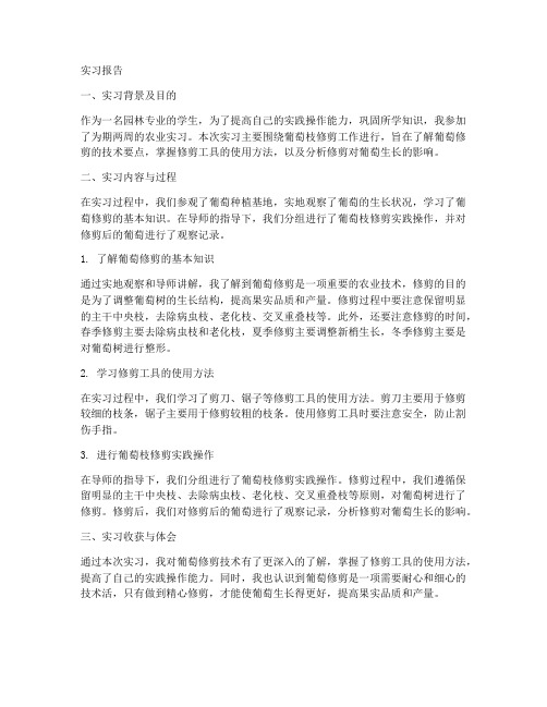 修剪葡萄枝农业实习报告