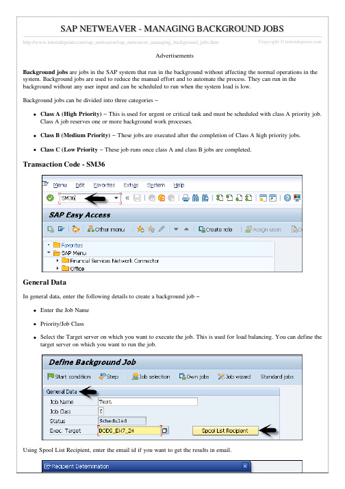 SAP NetWeaver 后台任务管理指南说明书