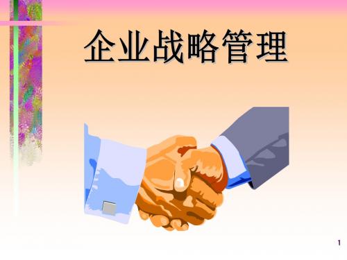 企业战略管理专题