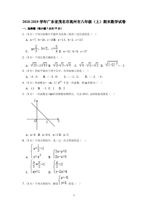 广东省高州市2018-2019学年八年级上学期期末测试数学试题(解析版)