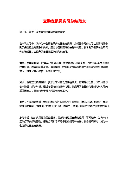 查勘定损员实习总结范文