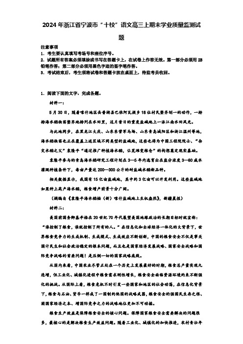 2024年浙江省宁波市“十校”语文高三上期末学业质量监测试题含解析