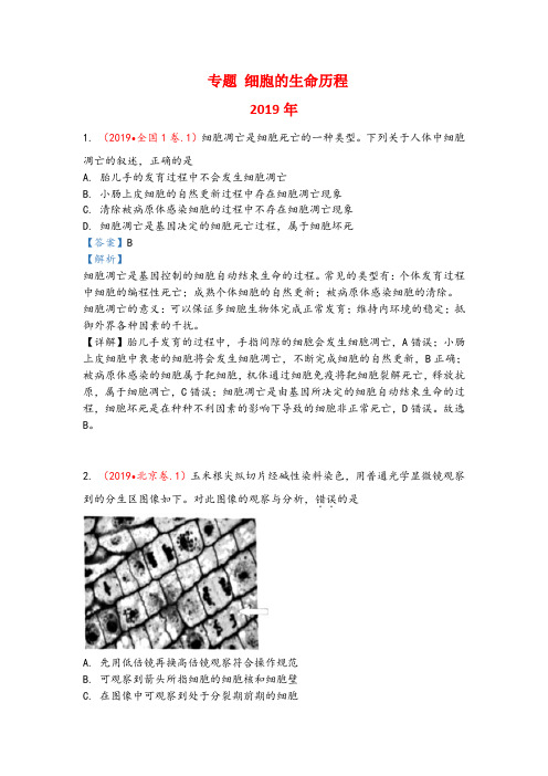 2019-2017年3年高考生物试题分类汇编带答案解析专题7 细胞的生命历程