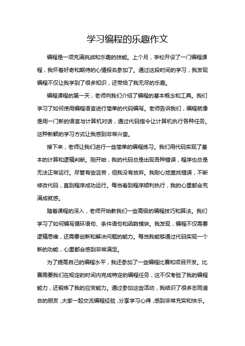 学习编程的乐趣作文