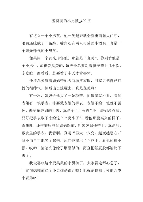 爱臭美的小男孩_400字