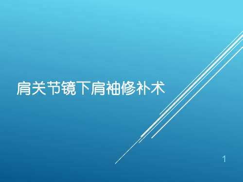 肩关节镜下肩袖修补幻灯片课件