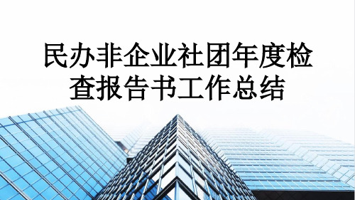 民办非企业社团年度检查报告书工作总结