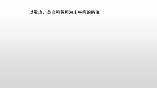 以发热、贫血和黄疸为主要症状牛病的防治