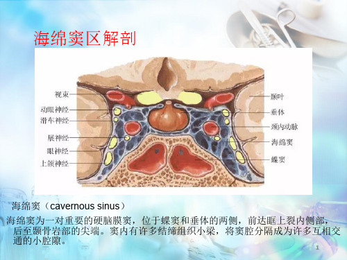 海绵窦区解剖
