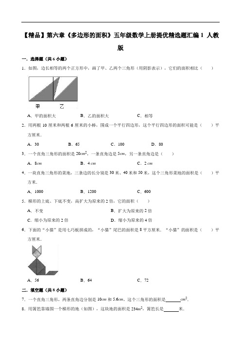 第六章《多边形的面积》五年级数学上册提优精选题汇编1人教版