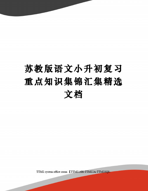 苏教版语文小升初复习重点知识集锦汇集精选文档