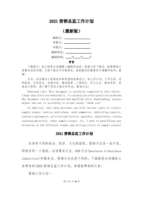 2021营销总监工作计划