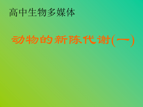 动物的新陈代谢(一)PPT课件