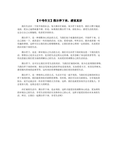 【中考作文】偶尔停下来,感觉真好