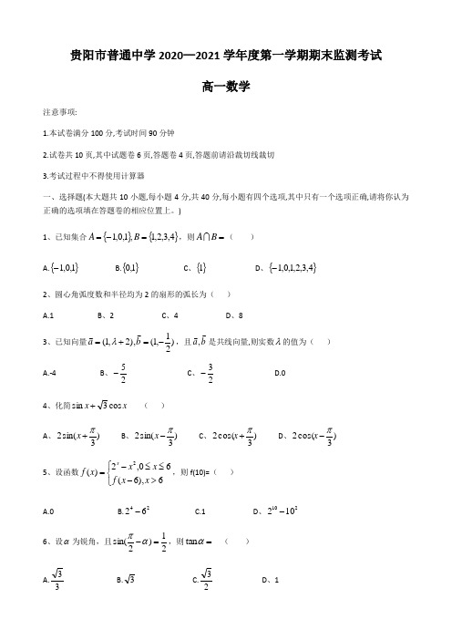 贵阳市2020-2021学年高一上学期期末监测考试数学试卷-含答案