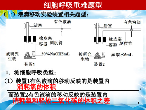 5.3.2细胞呼吸重难点题型(共13张PPT)[优秀课件资料]