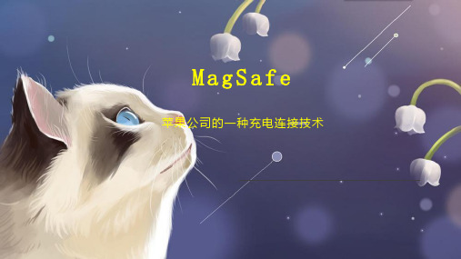 MagSafe