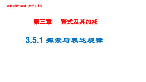 北师大版七年级数学上册探索与表达规律课件