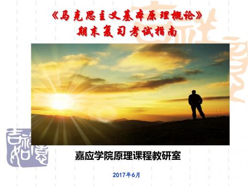 16-17-2原理课复习考试指南