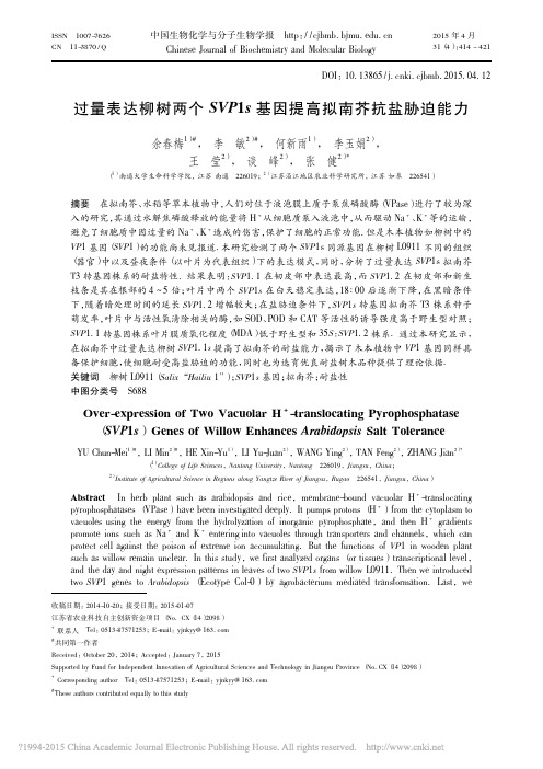 【免费】过量表达柳树两个SVP1s基因提高拟南芥抗盐胁迫能力