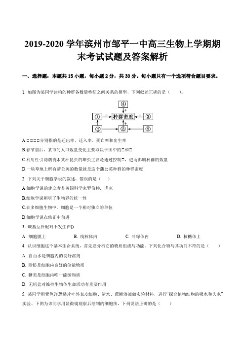 2019-2020学年滨州市邹平一中高三生物上学期期末考试试题及答案解析