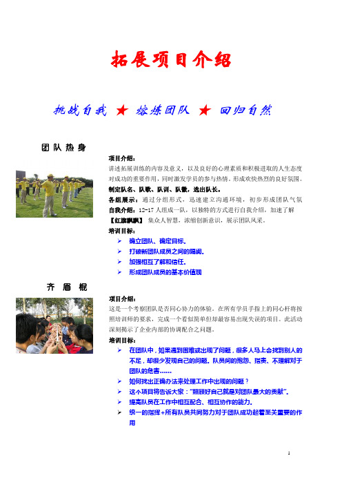 拓展项目项目介绍