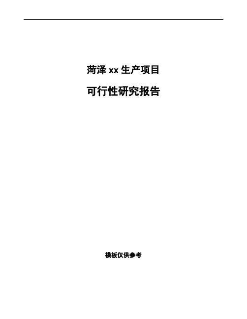 菏泽项目可行性研究报告可编辑模板