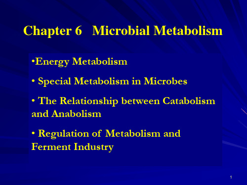 e6 微生物学南京师范大学 英文版PowerPointPPT课件