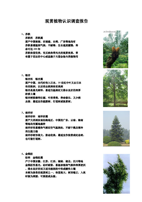 观赏植物认识调查报告