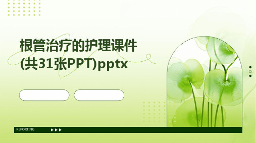 根管治疗的护理课件(共31张PPT)pptx