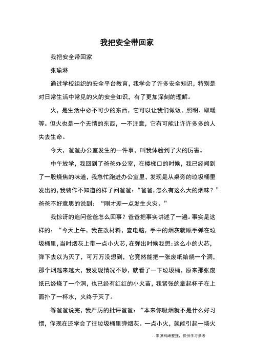 我把安全带回家_优秀作文_1