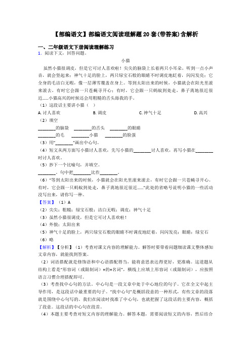 二年级【部编语文】部编语文阅读理解题20套(带答案)含解析