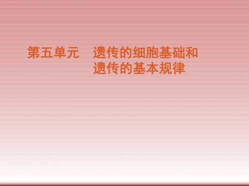 广东省2012届高考生物一轮复习第14讲孟德尔的豌豆杂交试验一精品课件