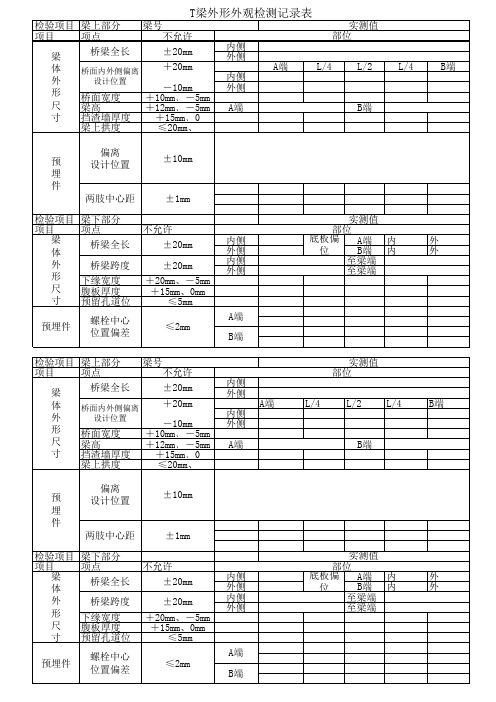 T梁外形外观检测记录表