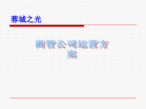 商业经营管理公司运营方案