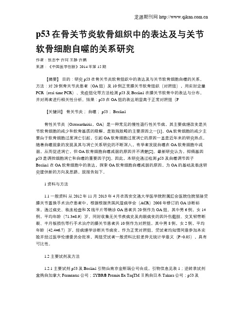 p53在骨关节炎软骨组织中的表达及与关节软骨细胞自噬的关系研究