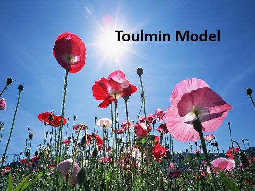 图尔明模式Toulmin Model