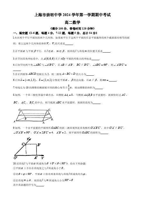 上海市崇明中学2024-2025学年高二上学期期中考试数学试卷(无答案)