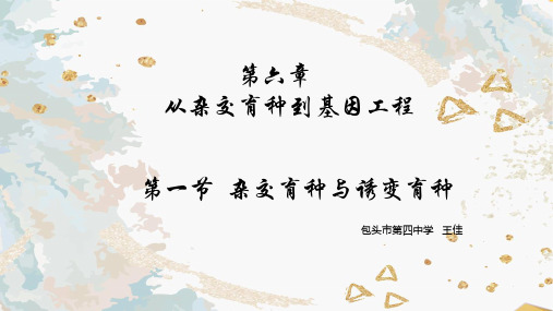 杂交育种与诱变育种