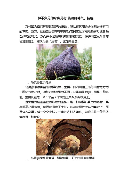 一种不多见的珍稀药材,能疏肝补气、抗癌