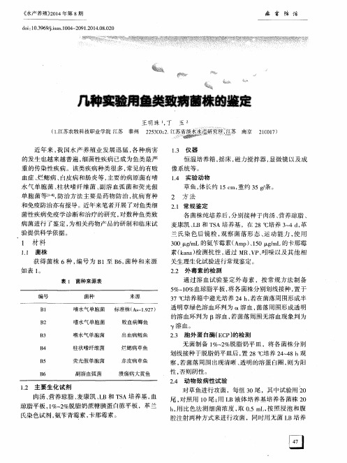 几种实验用鱼类致病菌株的鉴定