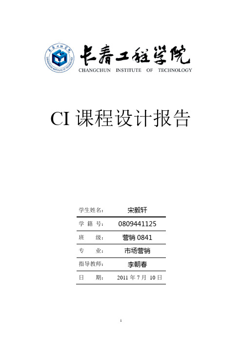 CI设计报告