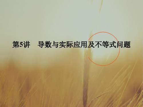 最新-2021届高考数学理二轮复习江苏专用课件:专题一 函数与导数、不等式 第5讲 精品