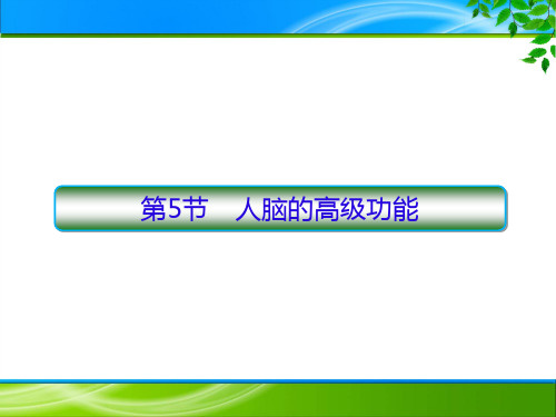 新人教版  选择性必修1 人脑的高级功能 课件 (共48张 )