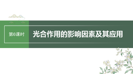 2024届高考一轮复习生物课件(人教版)：光合作用的影响因素及其应用